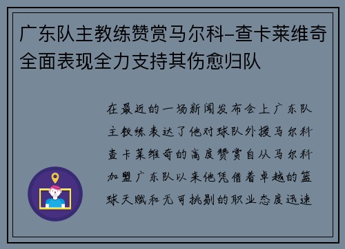 广东队主教练赞赏马尔科-查卡莱维奇全面表现全力支持其伤愈归队