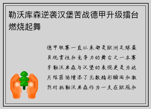 勒沃库森逆袭汉堡苦战德甲升级擂台燃烧起舞