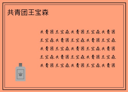共青团王宝森