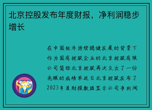 北京控股发布年度财报，净利润稳步增长