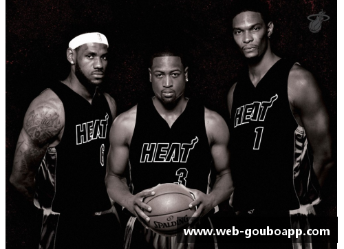 狗博官方APP下载NBA热火：三巨头崛起与黄金时代