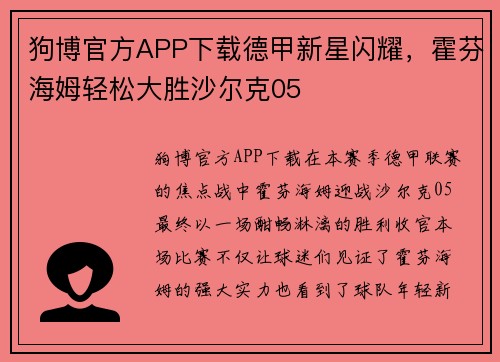 狗博官方APP下载德甲新星闪耀，霍芬海姆轻松大胜沙尔克05