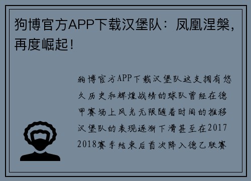 狗博官方APP下载汉堡队：凤凰涅槃，再度崛起！