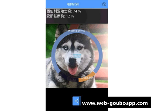 狗博官方APP下载伊布深夜发声，痛批球员自我中心主义 - 副本