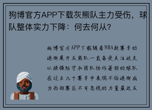 狗博官方APP下载灰熊队主力受伤，球队整体实力下降：何去何从？