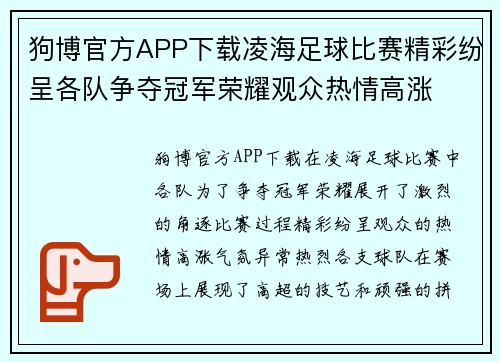 狗博官方APP下载凌海足球比赛精彩纷呈各队争夺冠军荣耀观众热情高涨