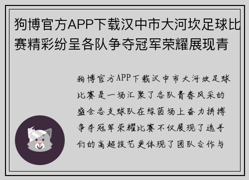 狗博官方APP下载汉中市大河坎足球比赛精彩纷呈各队争夺冠军荣耀展现青春风采